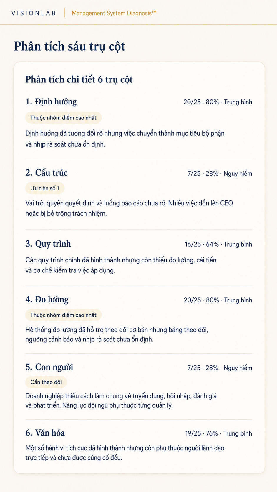 Trang phân tích chi tiết điểm số và nhận định cho từng trụ cột quản trị